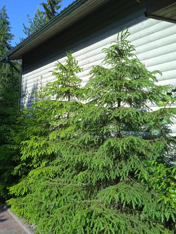 Ваш идеальный отдых в самом сердце Карелии