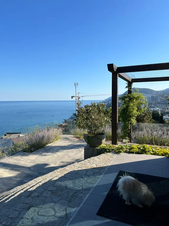 Уютные апартаменты