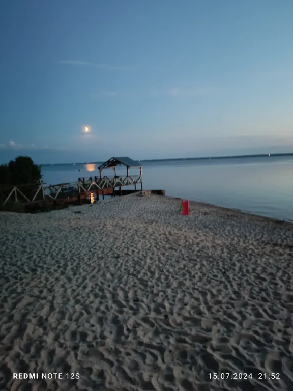 Удивительный дом в лесу