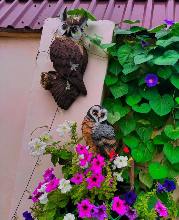 Уютные апартаменты