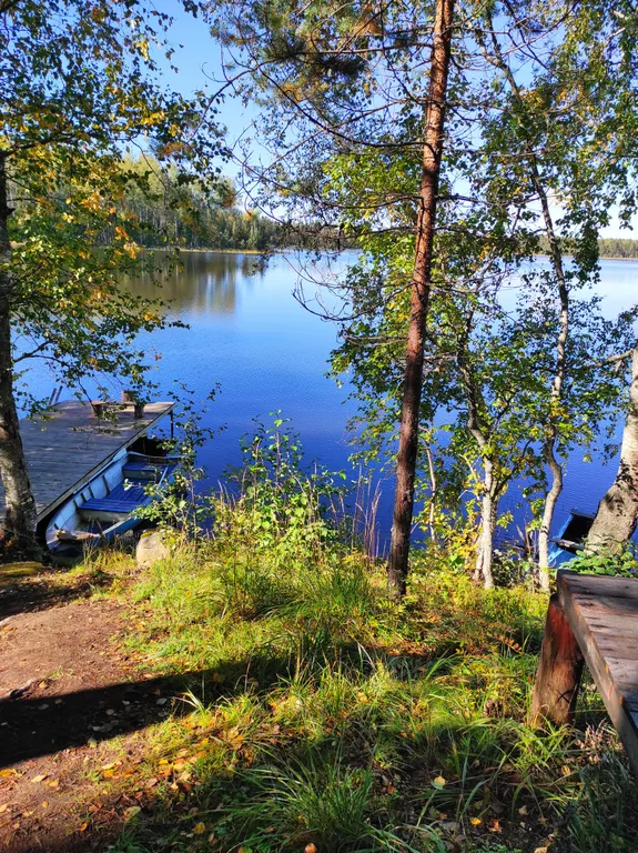 Уютный домик