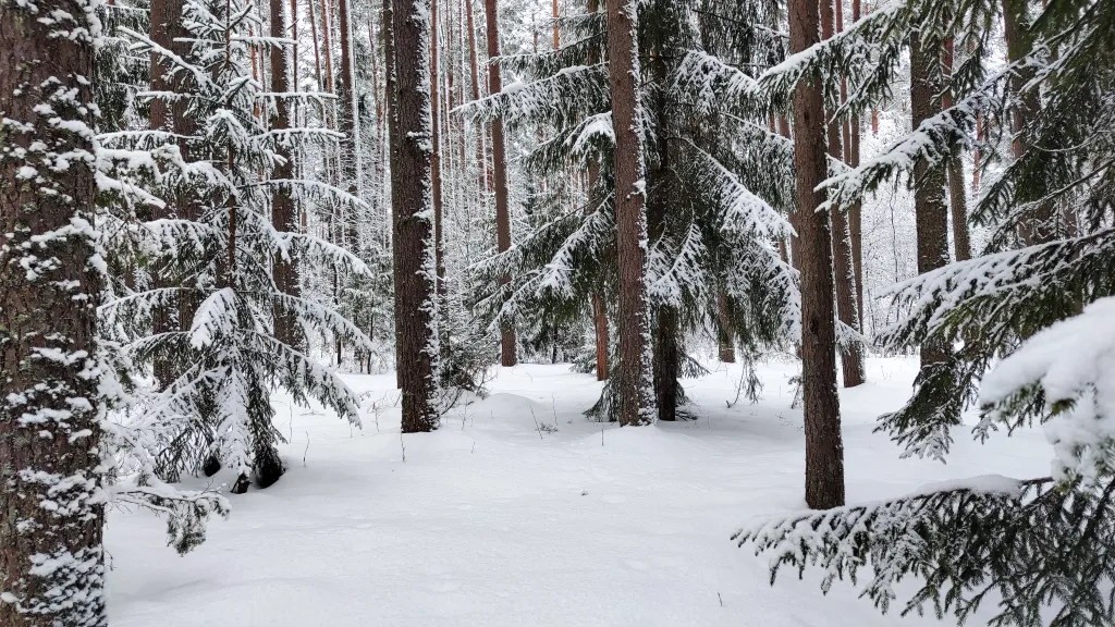 Коттедж Новый дом у озера с бесплатным бильярдом, рядом с турбазой Чайка — Ланино
