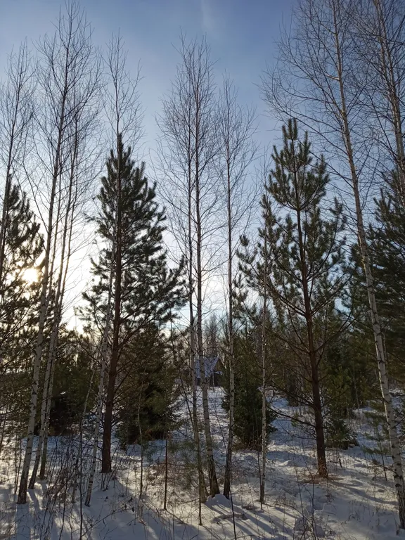 Уютный домик с огромным участком на природе у озера