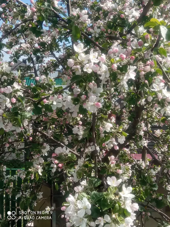 В гостях у сказки 2