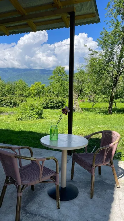 Дом в Абхазии, рядом сероводородные источники, море, река