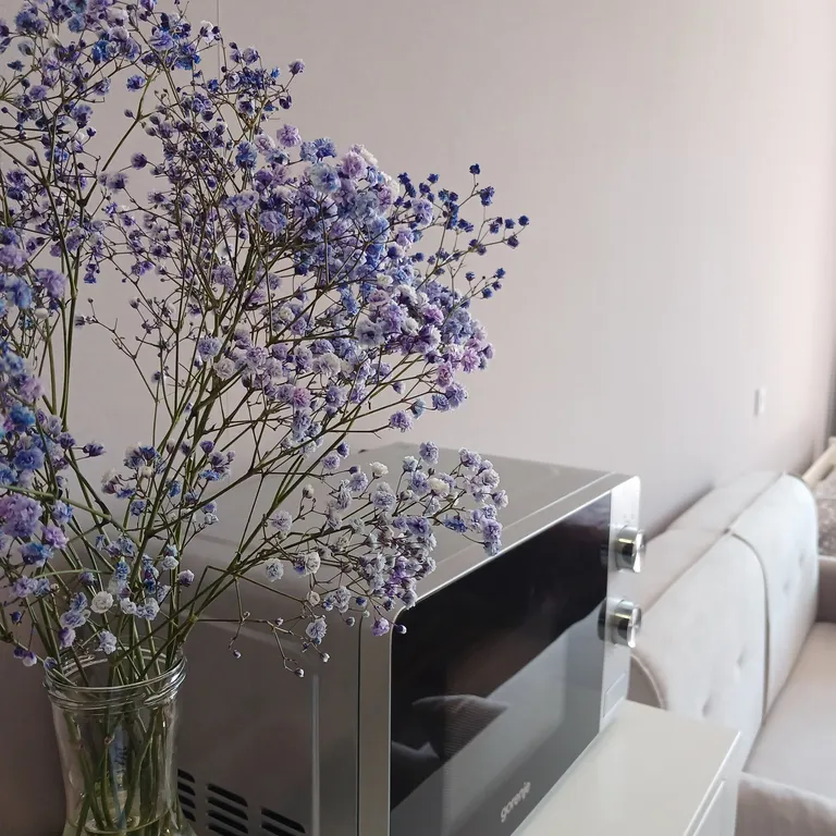 Квартира Квартира Приятная студия в новом жк сердце Ярославля в центре города — Ярославль