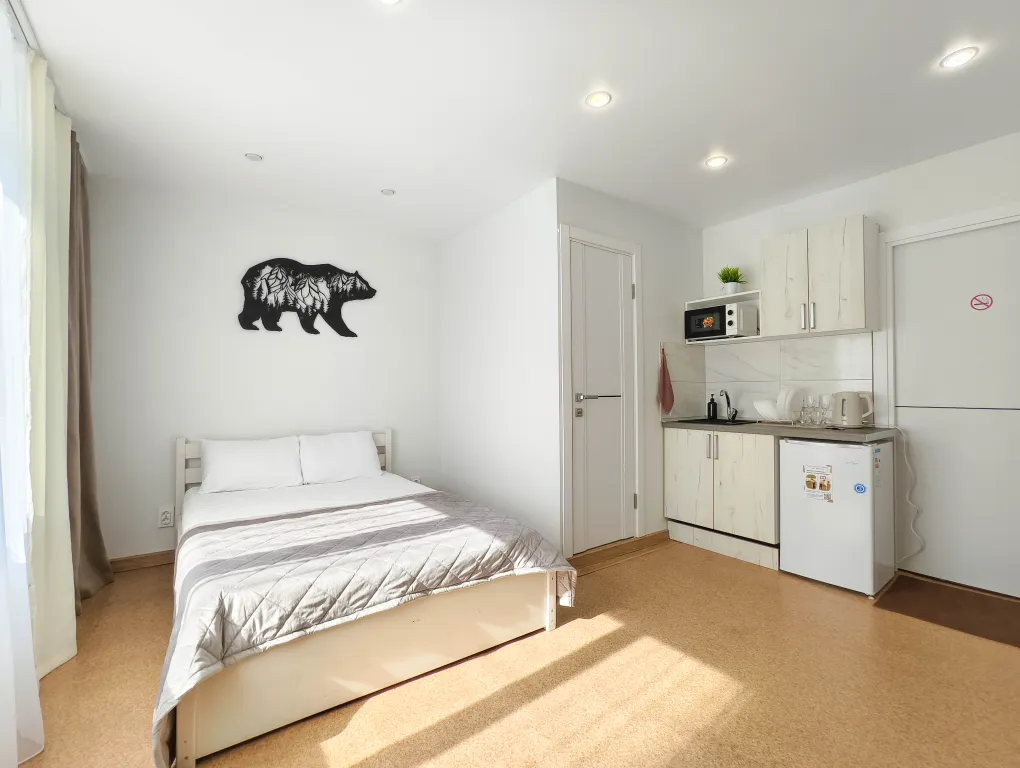 Квартира - студия Весны 1