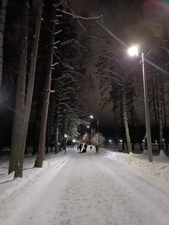 Квартира Красивый дом у парка Берендеевка, парковка, мангал — Кострома