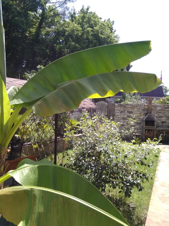 Вилла Море у леса