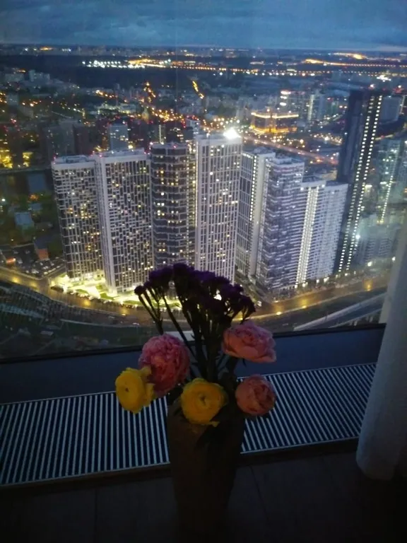 3-комнатный апартамент 50 этаж Масква Сити