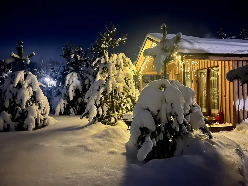 Коттедж 44м в лесу у пруда — аренда посуточно в Звенигород