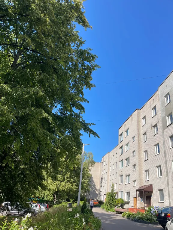 Прекрасная квартира