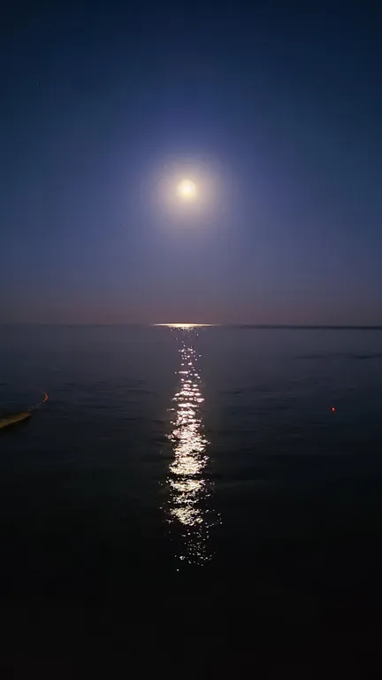 Видовые апартаменты с видом на море