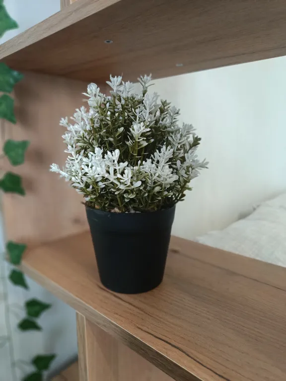 Квартира Квартира Прекрасная и уютная однушка будет отличным вариантом для вас — Красноярск