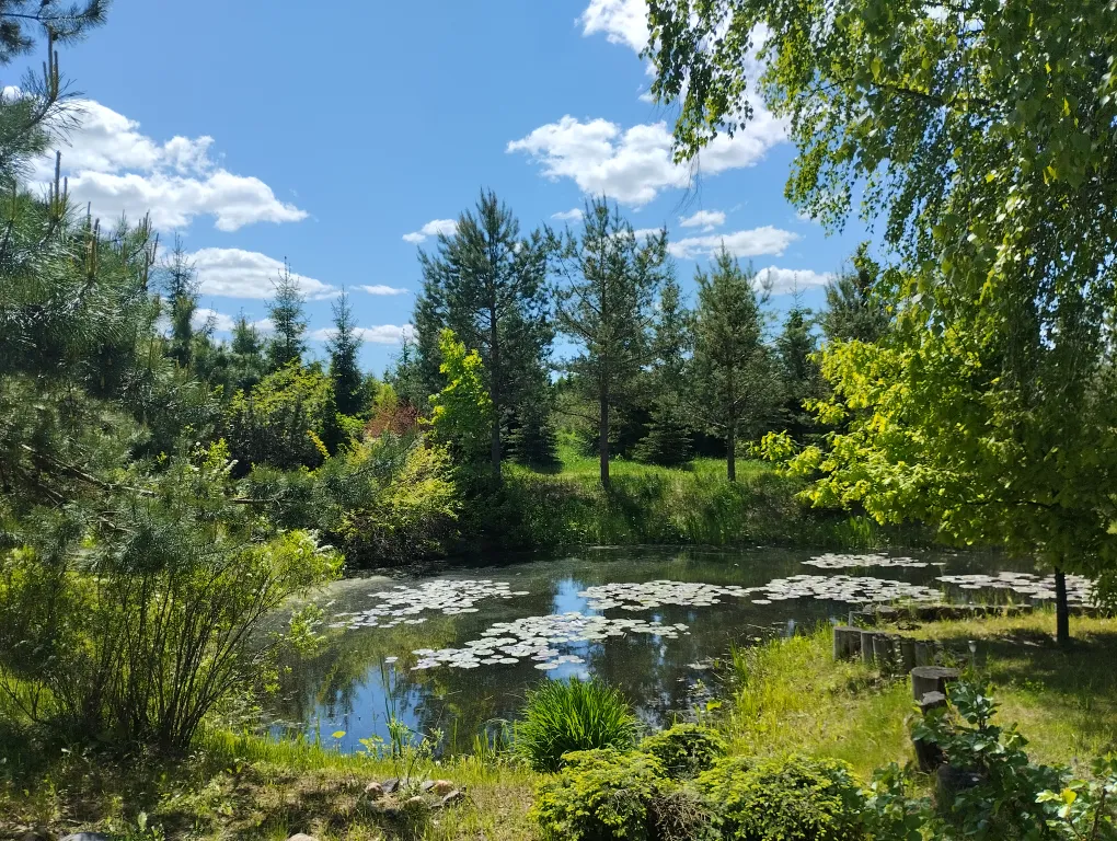 Дом на берегу сказочного озера