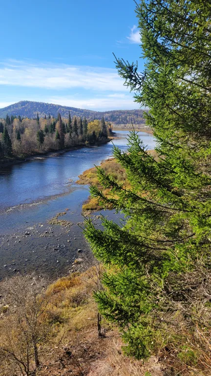 Лесная Гавань