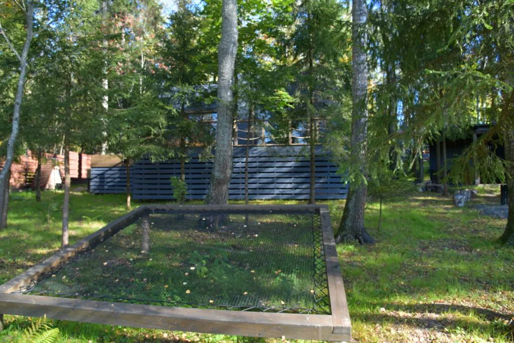 Дом с панорамными окнами в чаще леса у берега реки