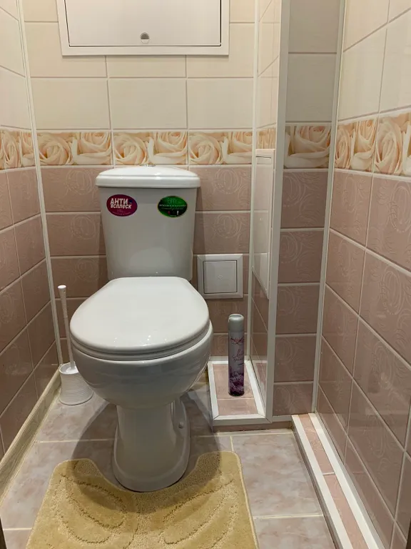 Однокомнатные апартаменты с удобствами