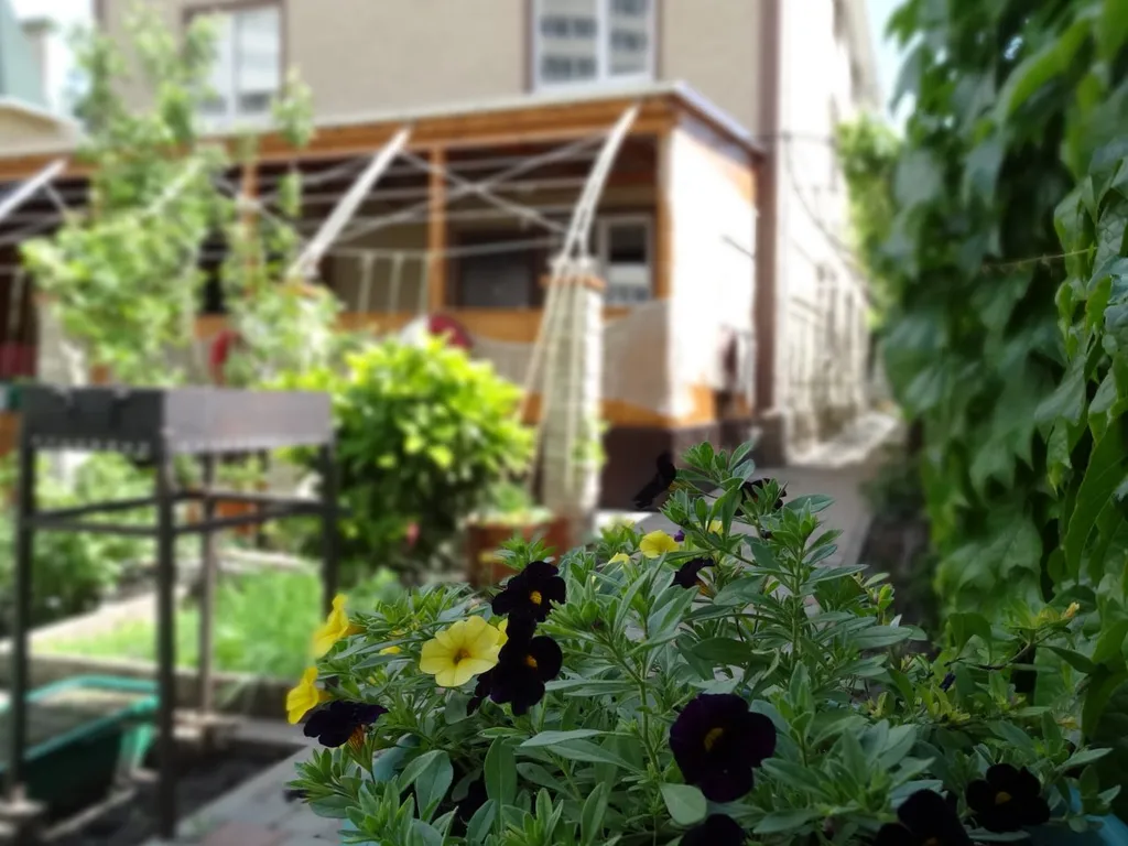 Квартира Трёхкомнатная квартира для большой компании в тихом центре Анапы — Анапа