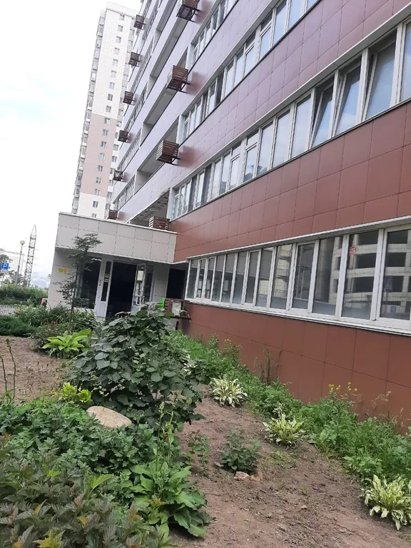 Квартира Уютная квартира в центре города — Владивосток
