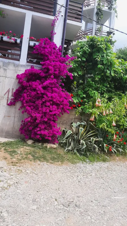 Квартира Комната — Гагра