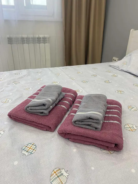 Красивая студия в центре города на 3 места, рядом с Площадью Советов.