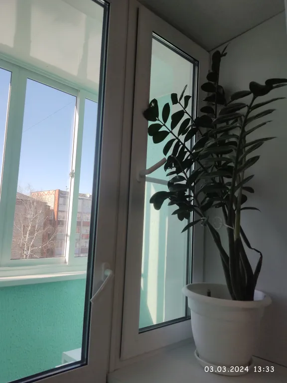 Уютная квартира с огромной кухней, городской пляж рядом