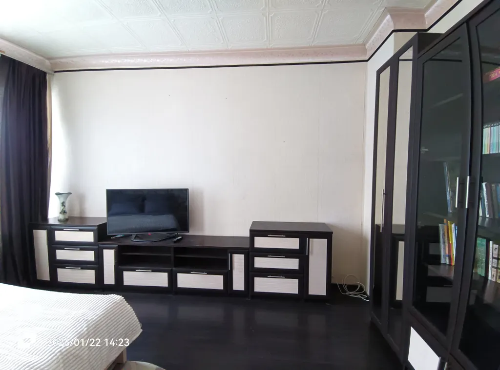 Однушка в центре