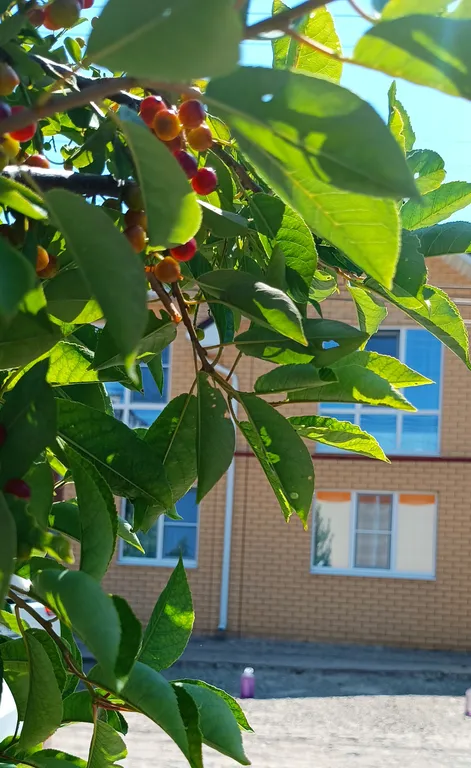 Квартира Комната — Ейск