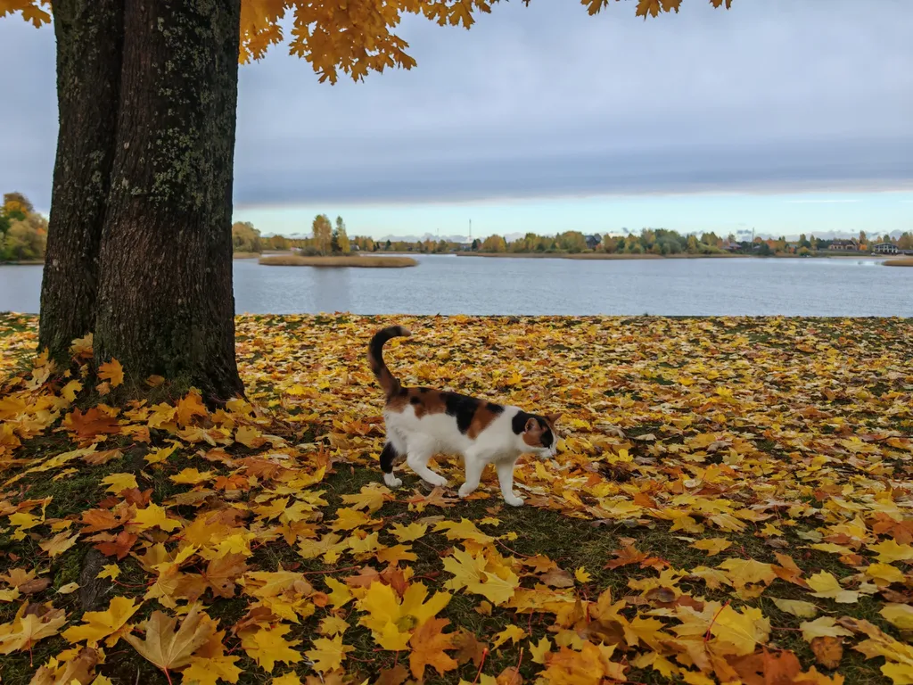 Коттедж Дом с тремя спальнями в турбазе чайка (селигер) — Турбаза Чайка