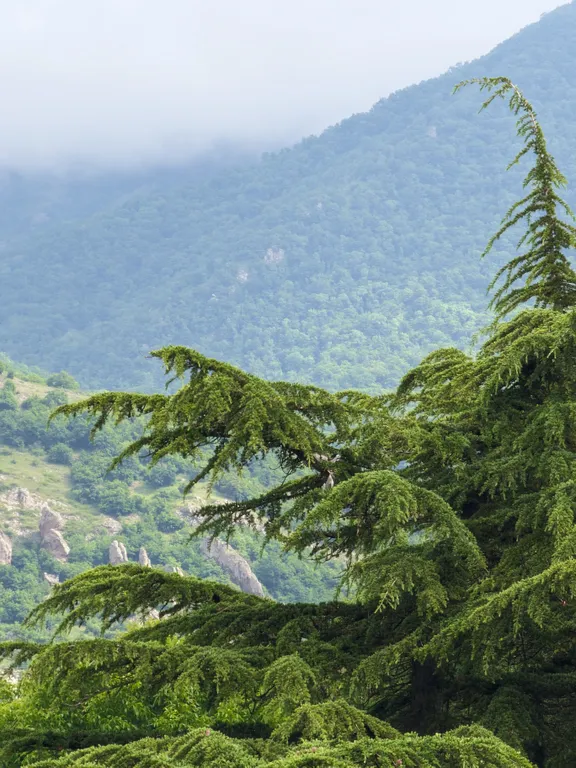 Роскошный вид на горы