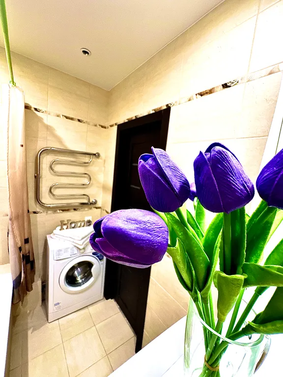 Квартира с евроремонтом в центре