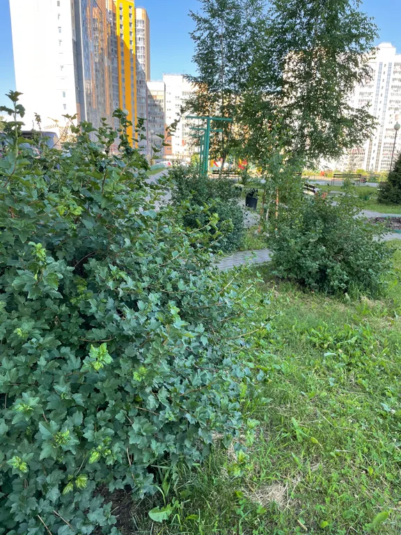 Уютная квартира в спальном микрорайоне Зелёные горки