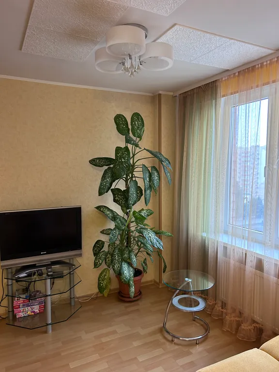 Уютная однокомнатная квартира в центре города