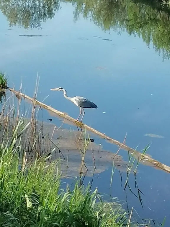 Дом баня на берегу водоема