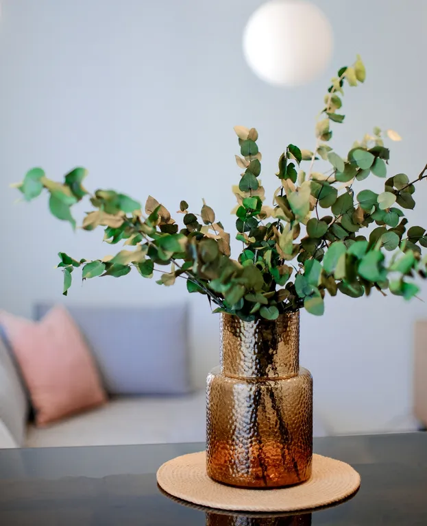 Студия рядом с парком