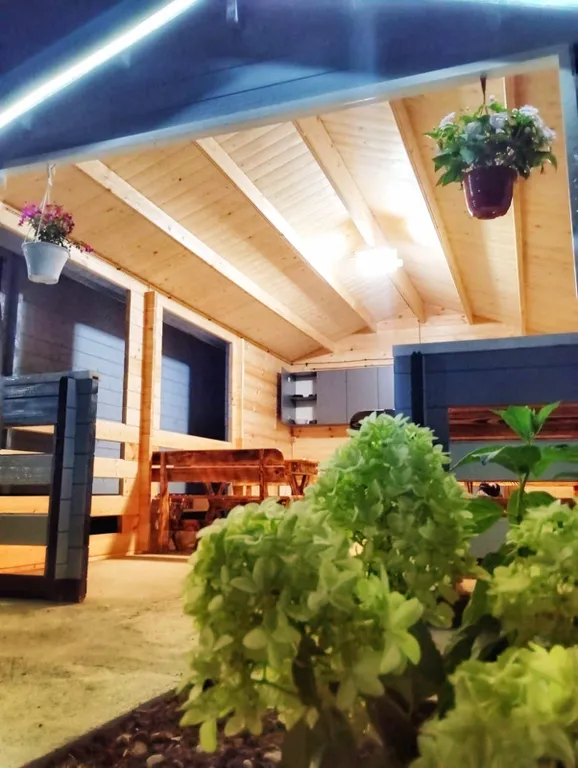 Уютные домики "Noah's Nest