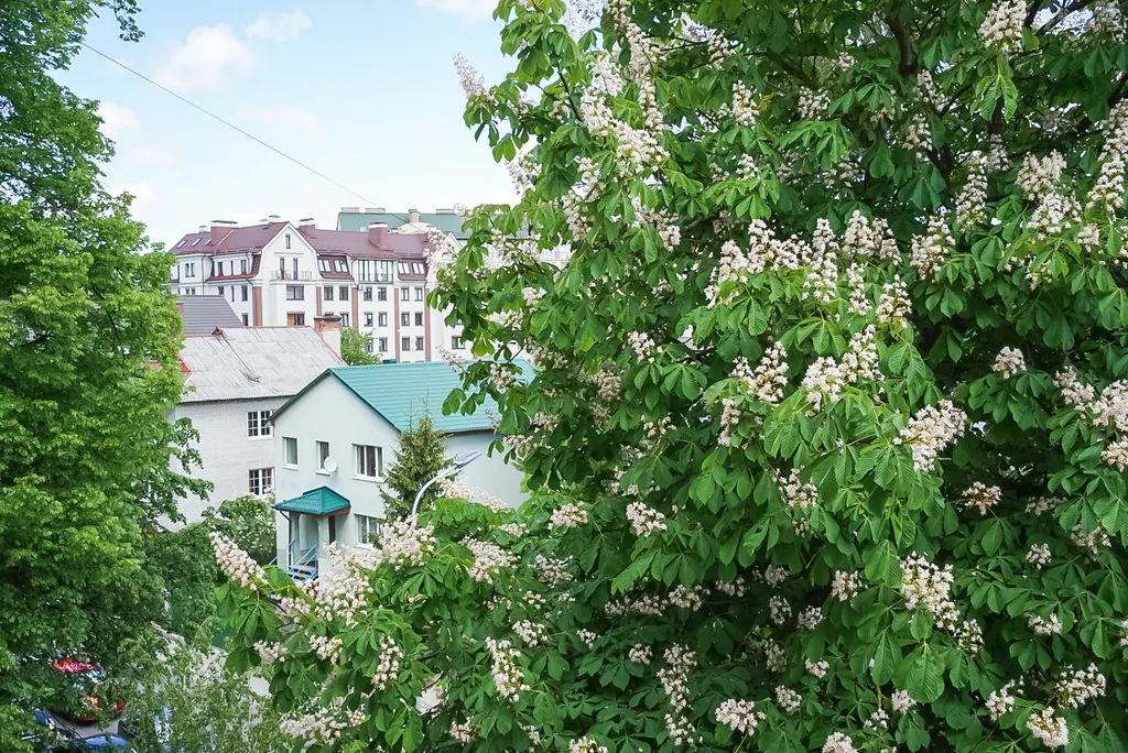 Уютная квартира