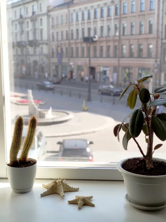 Квартира Квартира с видом на фонтан и анфиладой из трех комнат в центре города — Санкт-Петербург