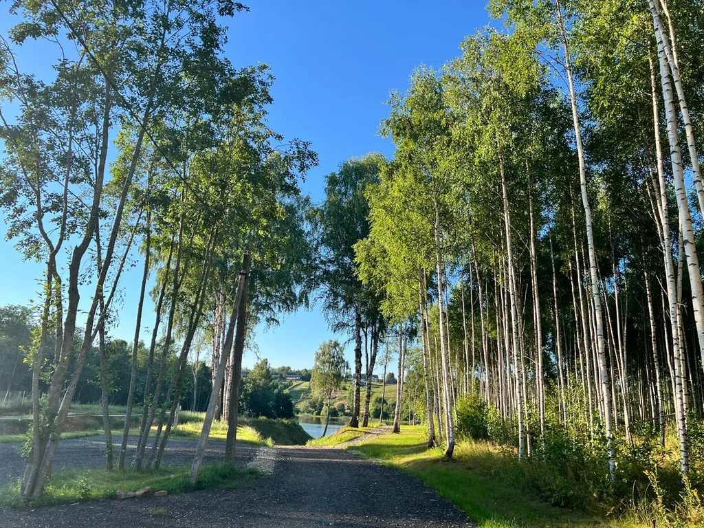 Уютный A-Frame в лесном массиве на берегу реки