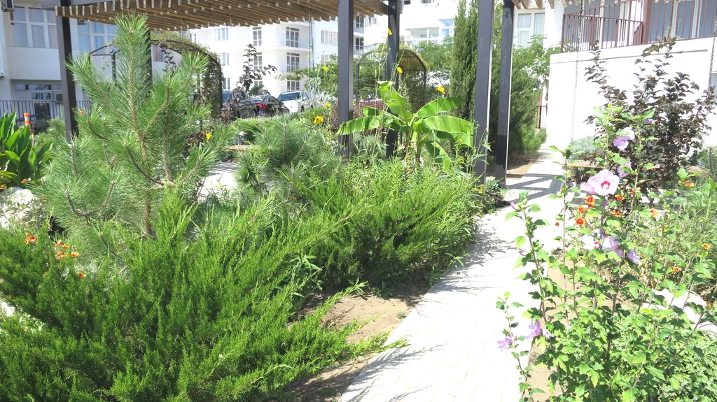 Апартамент с видом на море