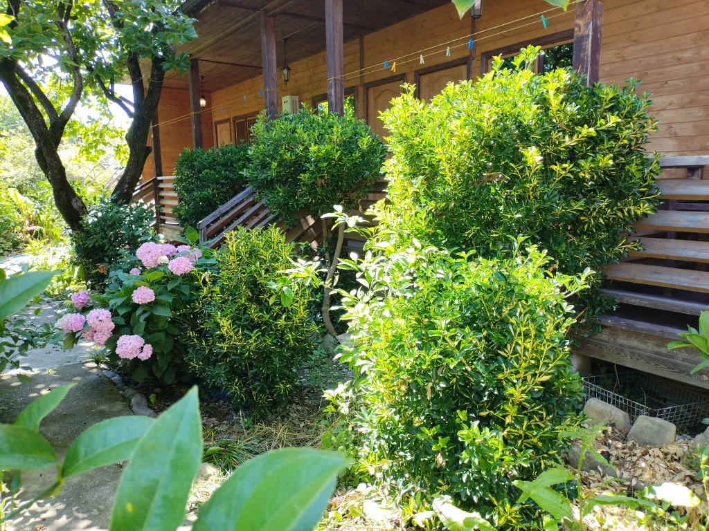 Квартира Трехместный коттедж эконом — аренда посуточно в Лдзаа