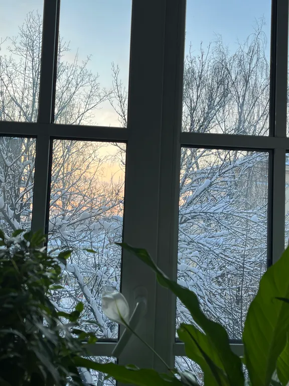 Квартира Уютная квартира в городе — Санкт-Петербург
