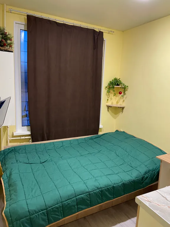 В гостях у гуся