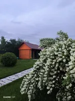 Дмитрий Пушкарёв