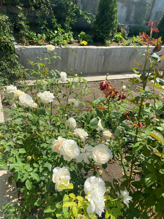 Коттедж Дом с камином в экопоселке у подножья гор — Инкерман