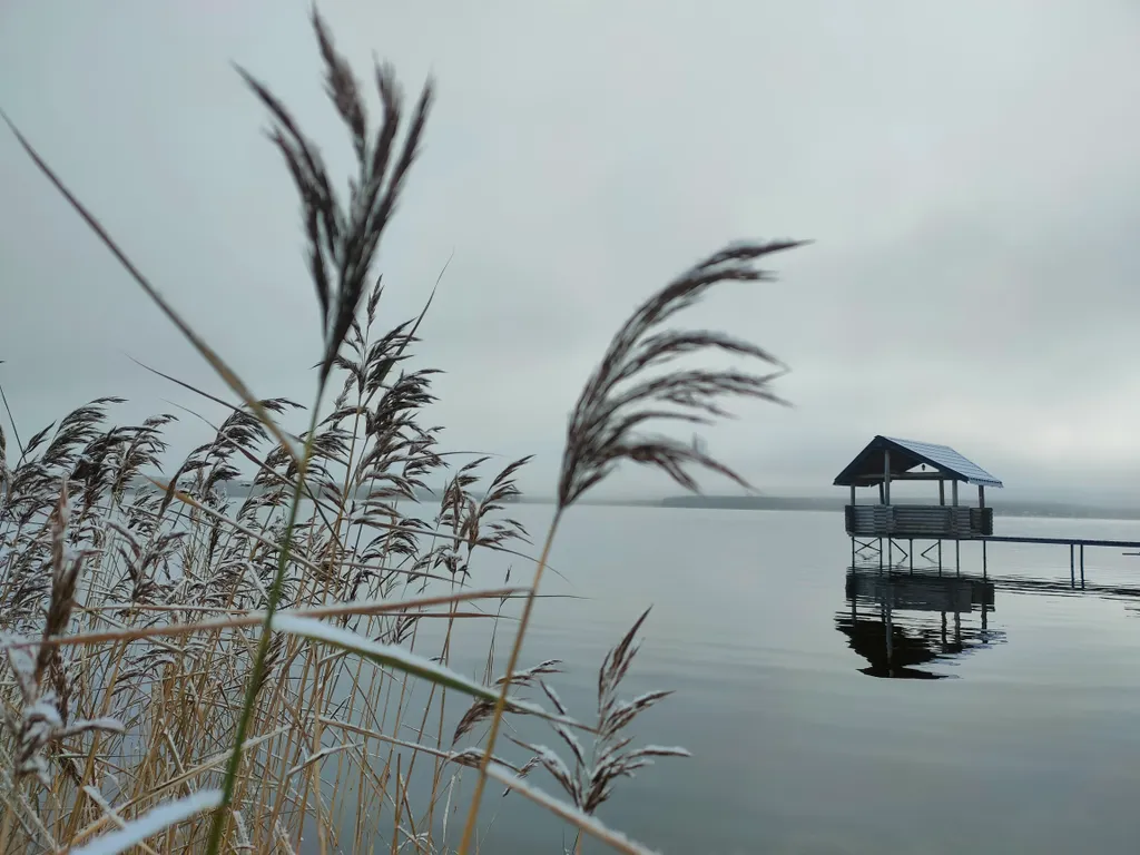 Дом на берегу озера без соседей