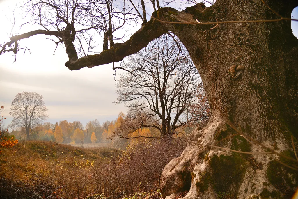 Загородная усадьба