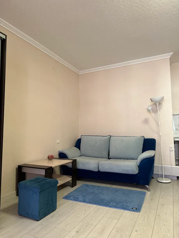 Уютная студия в центре города