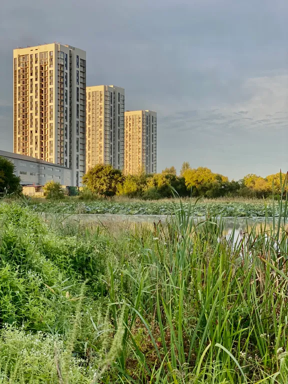 Стильная, просторная студия 50 оттенков серого